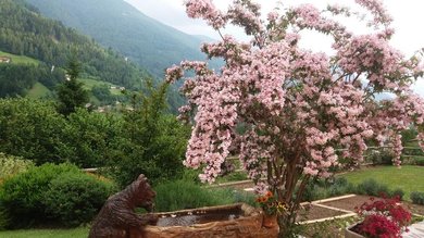 Appartamento turistico Casa delle Rose valle dei Mocheni  fontana e visuale
