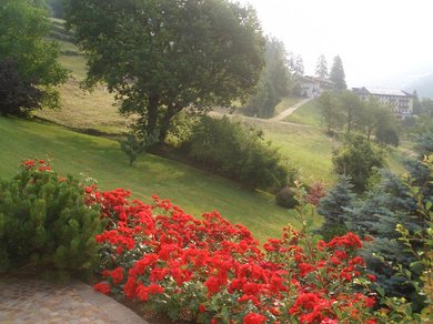 Appartamento turistico Casa delle Rose valle dei Mocheni le rose del prato